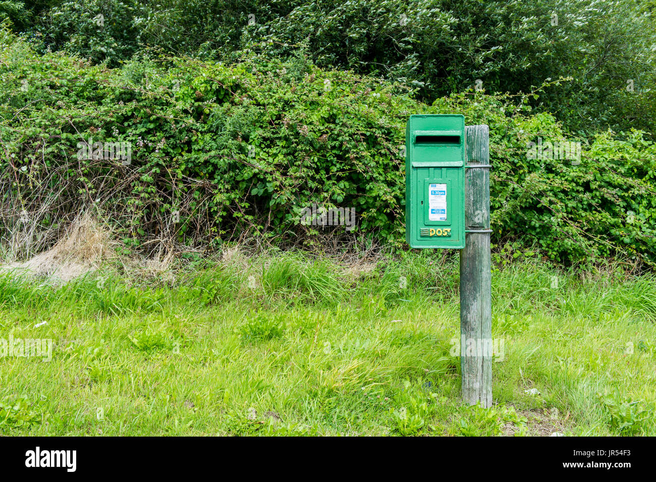 An Post Briefkasten in einer ländlichen Lage in Irland mit kopieren. Stockfoto