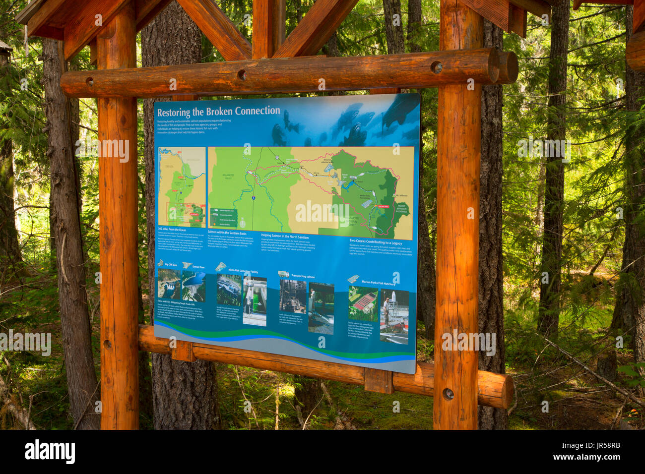 Kiosk-Schild am Marion Gabeln Fish Hatchery, Willamette National Forest, Oregon Stockfoto