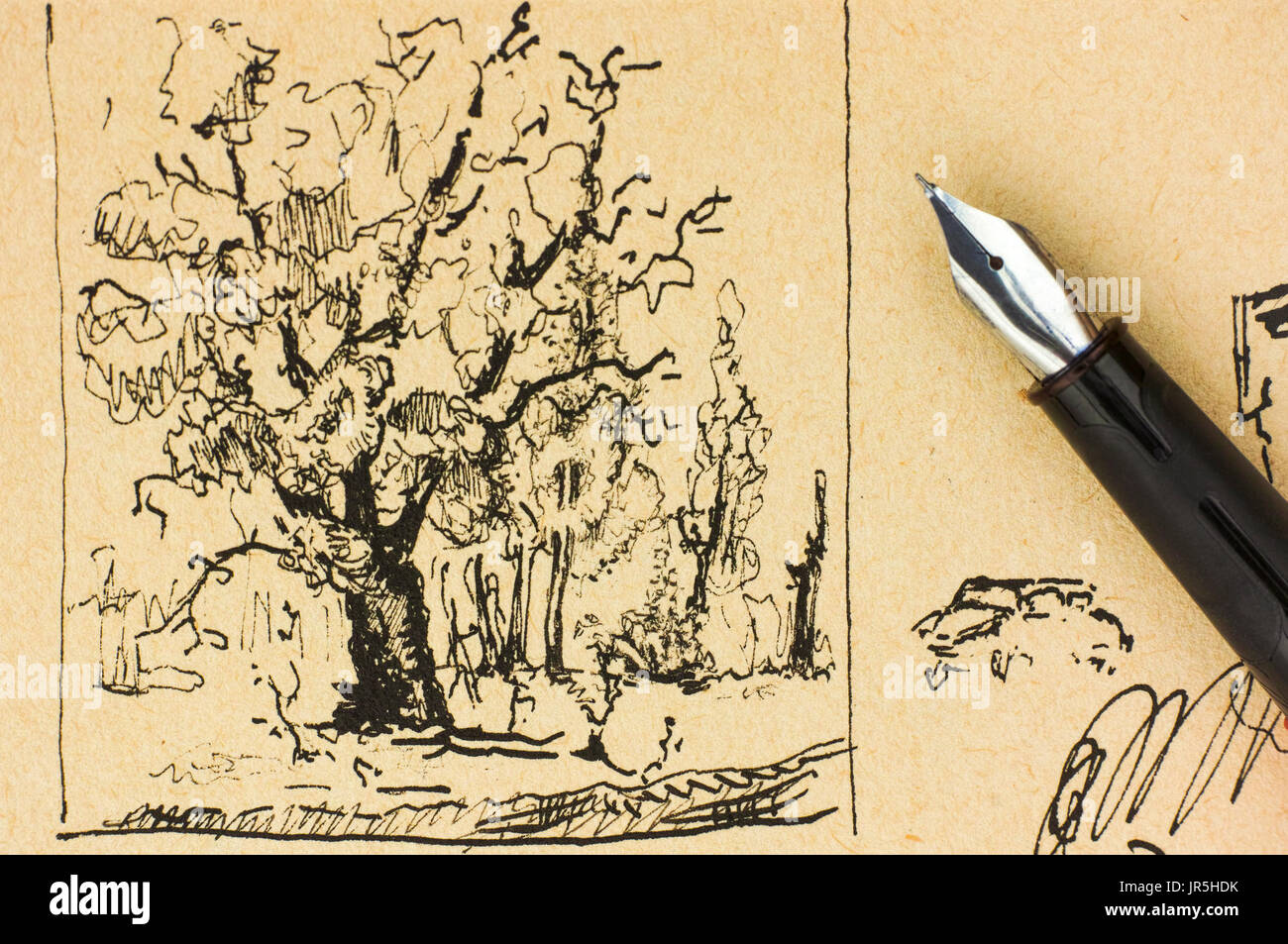 Baum zeichnen von Tinte mit Füllfederhalter Stockfotografie - Alamy