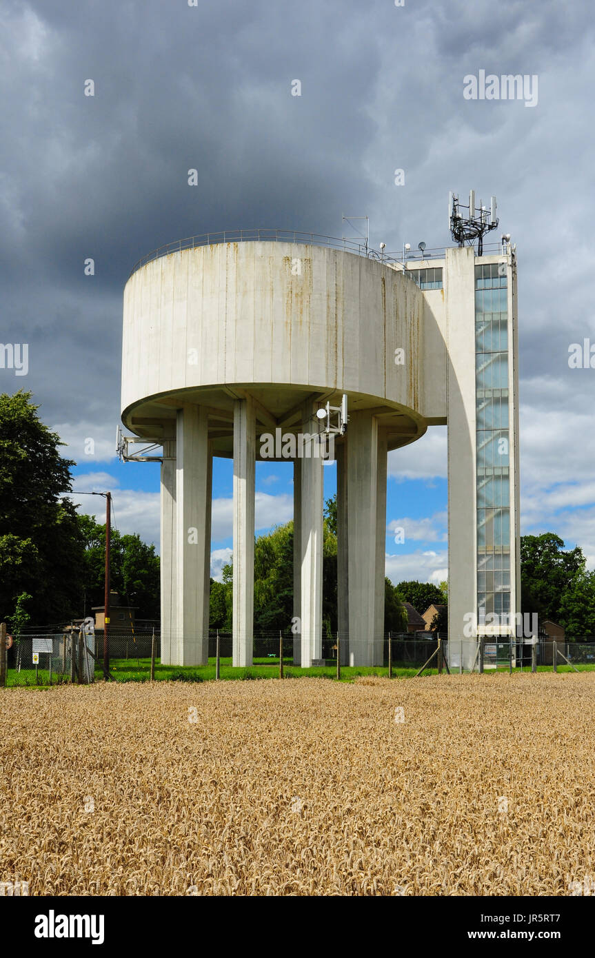 Wasserturm und Mais Feld, Ely, Cambridgeshire, England, UK Stockfoto