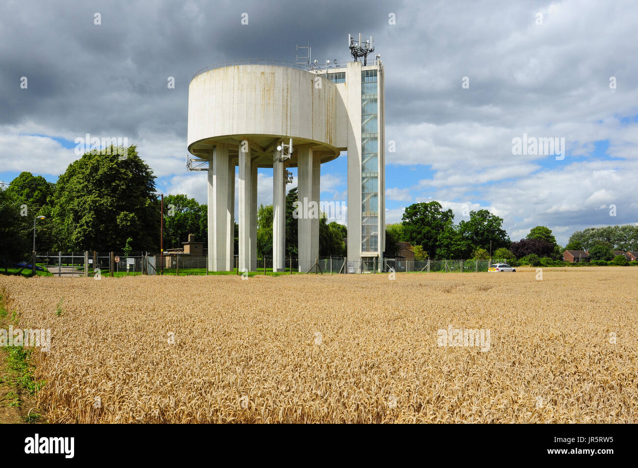 Wasserturm und Mais Feld, Ely, Cambridgeshire, England, UK Stockfoto