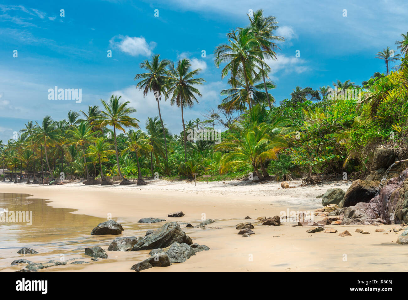 Schöner Strand und Natur in der Nähe von Itacare in Bahia Brasilien Stockfoto