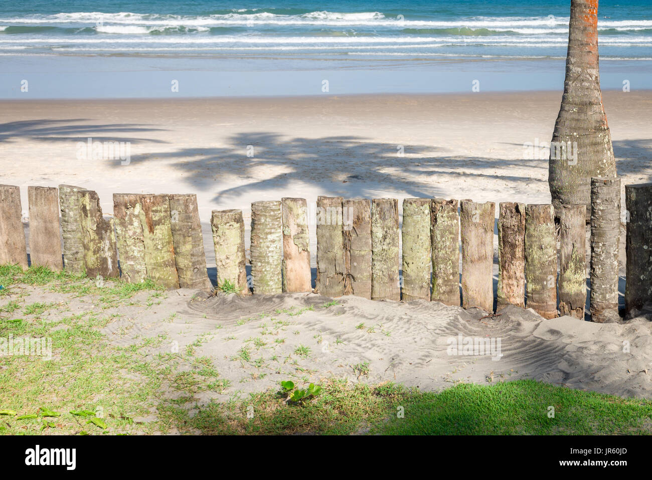 Palm Tree Trunk Holzzaun im Regenwald Strand in Brasilien Stockfoto