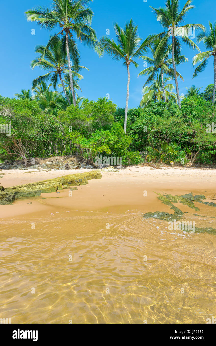 Schöne Landschaften abstrakt und Textur Formen am Strand Stockfoto