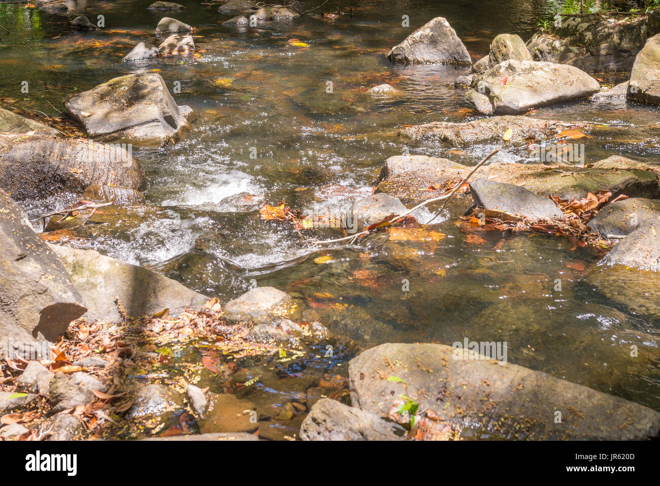 Wasserfall und Bach im Wald in Itacare Bahia Brasilien Stockfoto