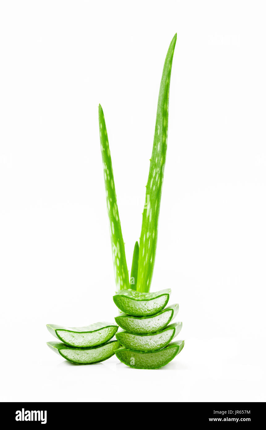 Scheibe frischen Aloe vera auf weißem Hintergrund. Stockfoto