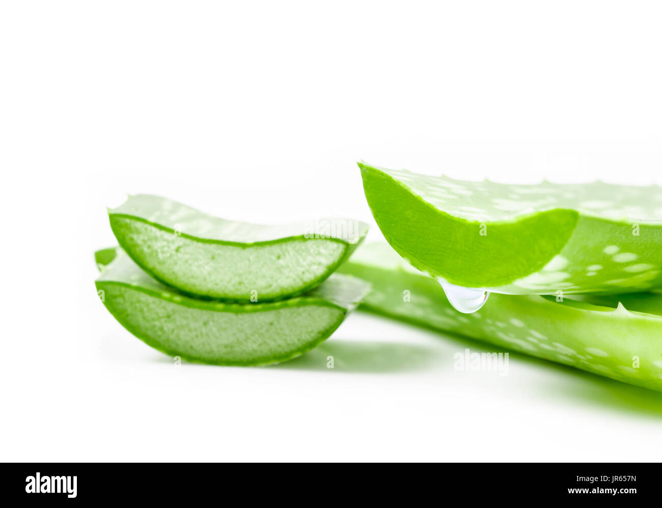 Aloe vera frisches Blatt. auf weißem Hintergrund. Stockfoto