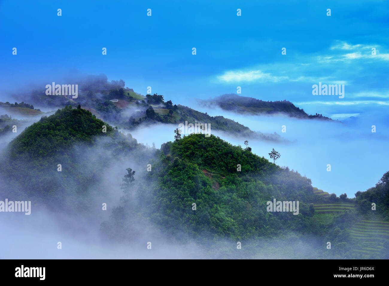 Misty Reis Terrasse Landschaft, Mu Chang Chai, Vietnam Stockfoto