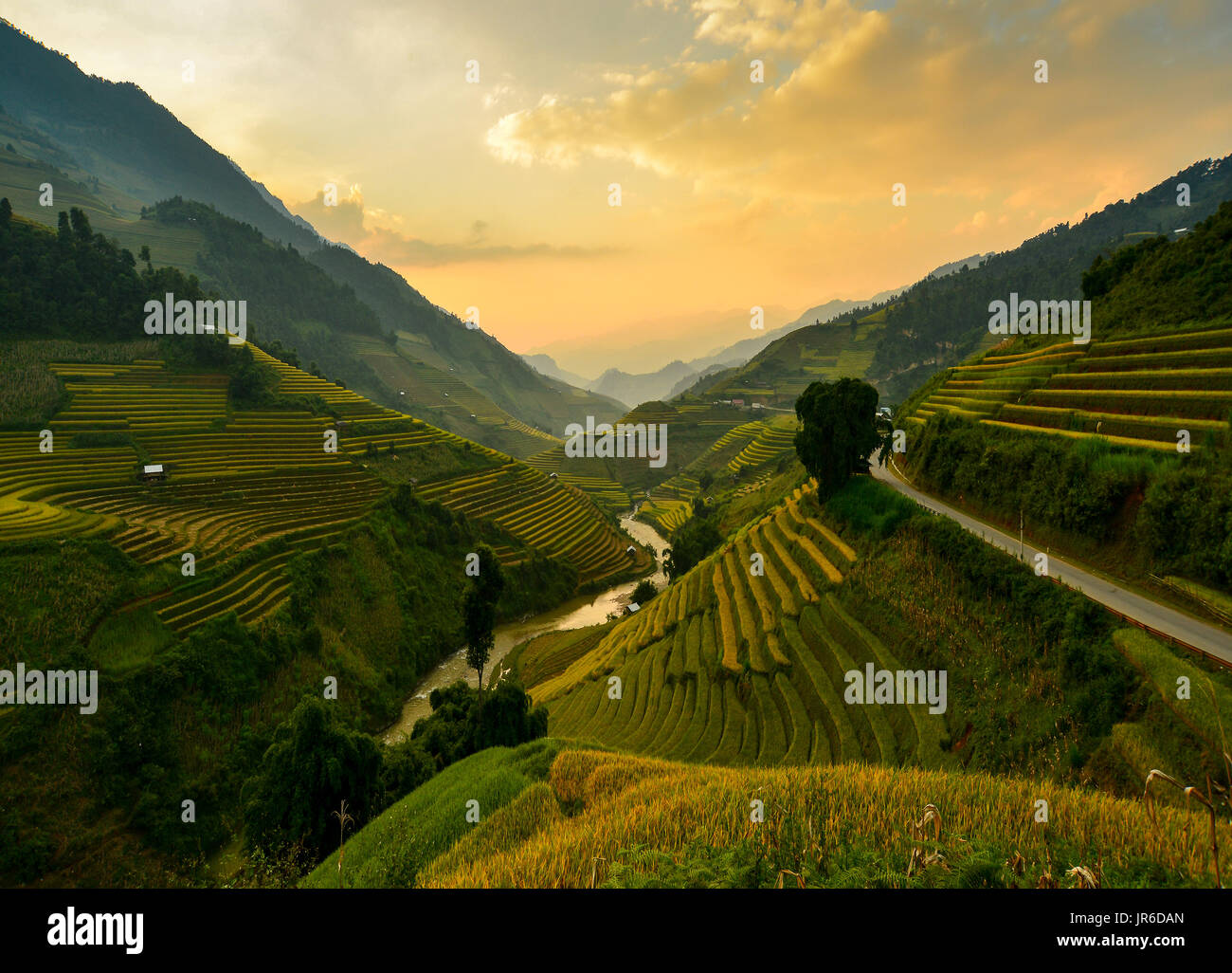 Terrassierte Reisfelder bei Sonnenuntergang, Mu Chang Chai, Vietnam Stockfoto
