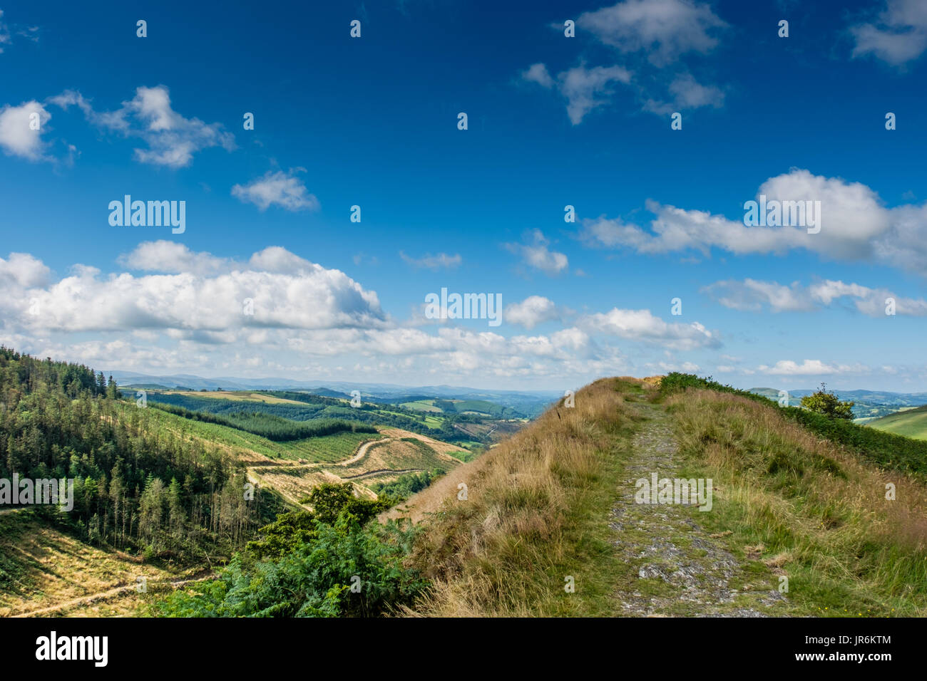 In Carmarthenshire, vom Zuckerhut, in der Nähe von Cynghordy, Carmarthenshire, Wales, Großbritannien Stockfoto