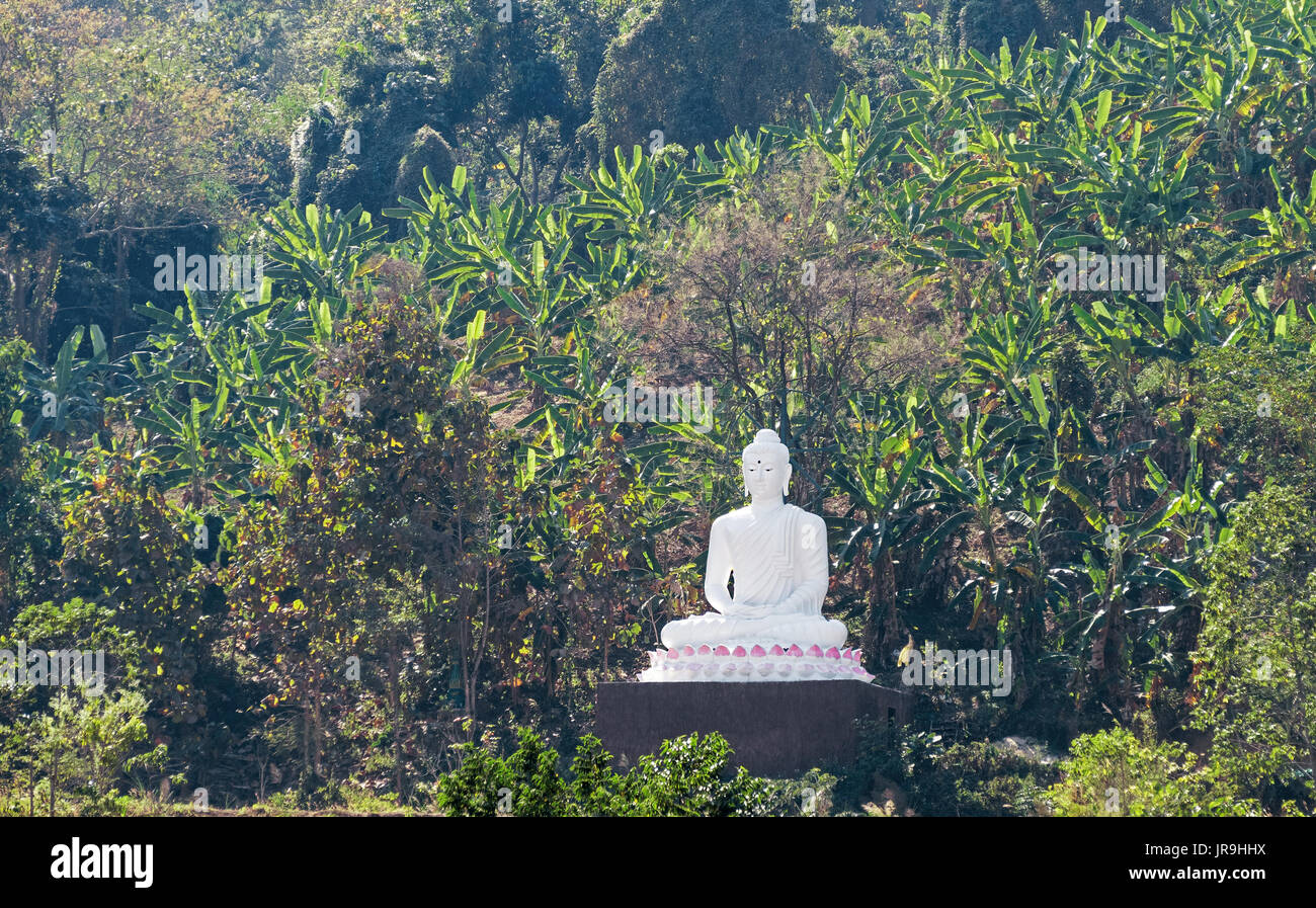 Buddha-Statue unter den tropischen Dschungel in Thailand. Stockfoto