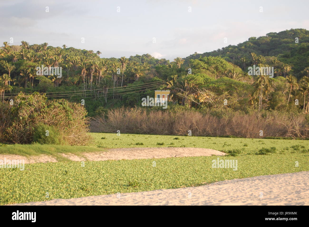 San Pancho Strand Mexiko Stockfoto