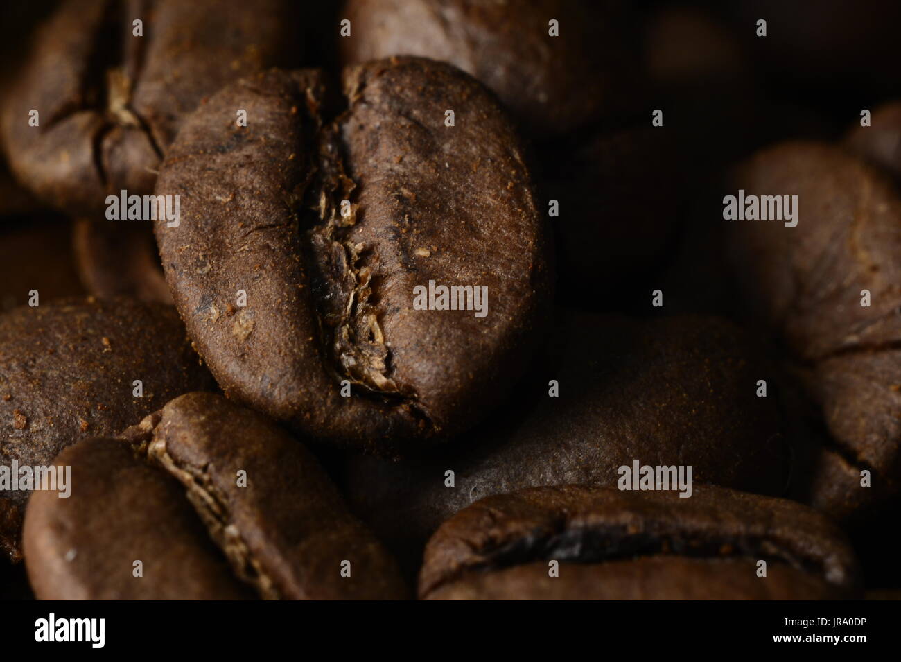 Brasilianischen Kaffeebohnen-Makro-Fotografie Stockfoto