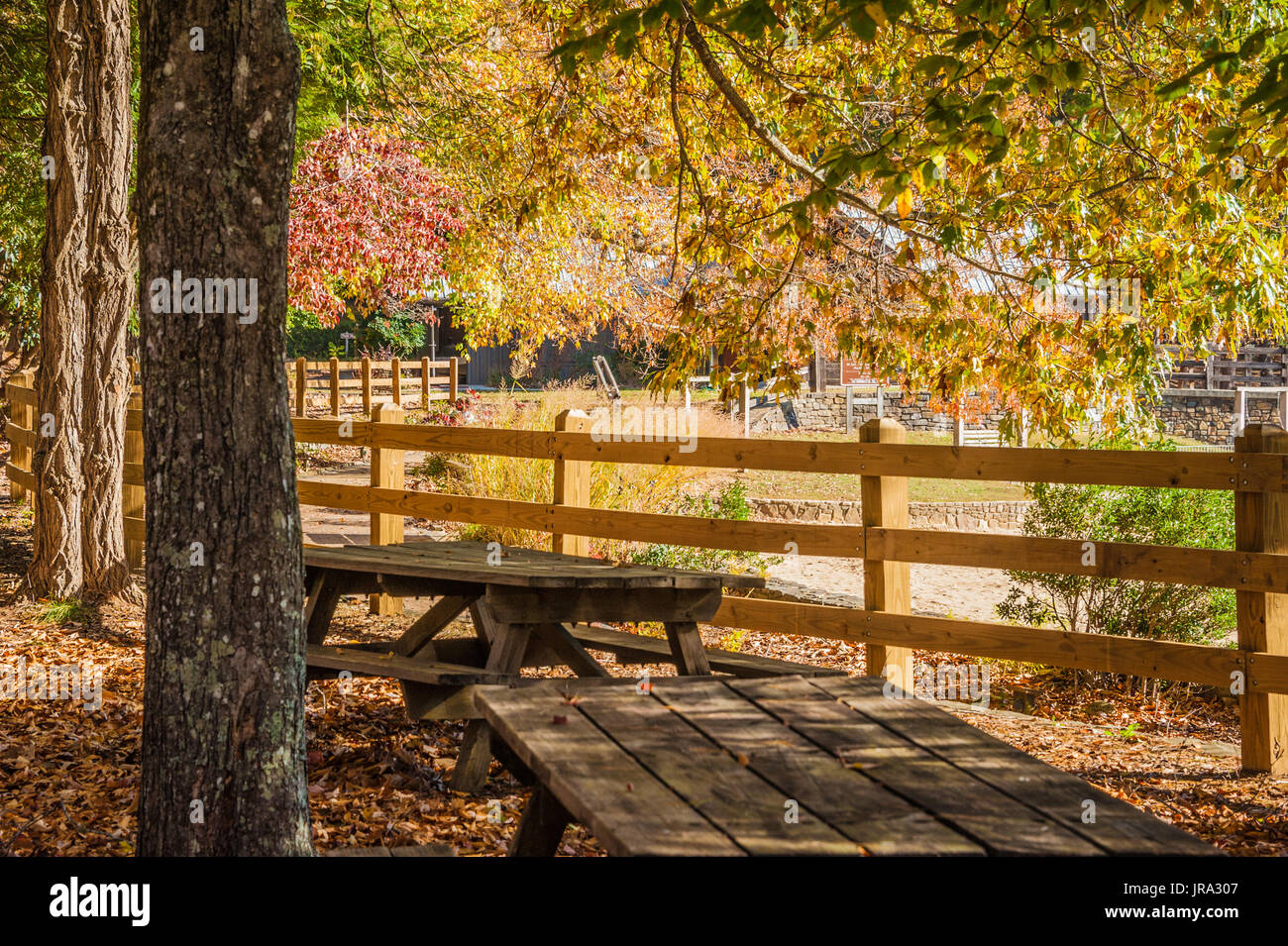 Schattigen Picknick-Tische mit Blick auf den Strand am See Trahlyta an einem schönen Herbstmorgen im Vogel State Park in der Nähe von Blairsville. (USA) Stockfoto