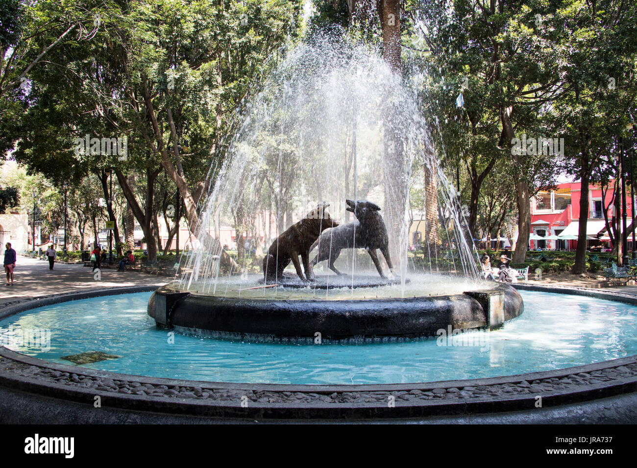 Fuente de Los Kojoten, Centenario Garten Jardin Centenario, Coyoacan, Mexiko City, Mexiko Stockfoto Fuente de Los Kojoten, Centenario Garten Jardin Centenario, Coyoacan, Mexiko City, Mexiko Stockfoto