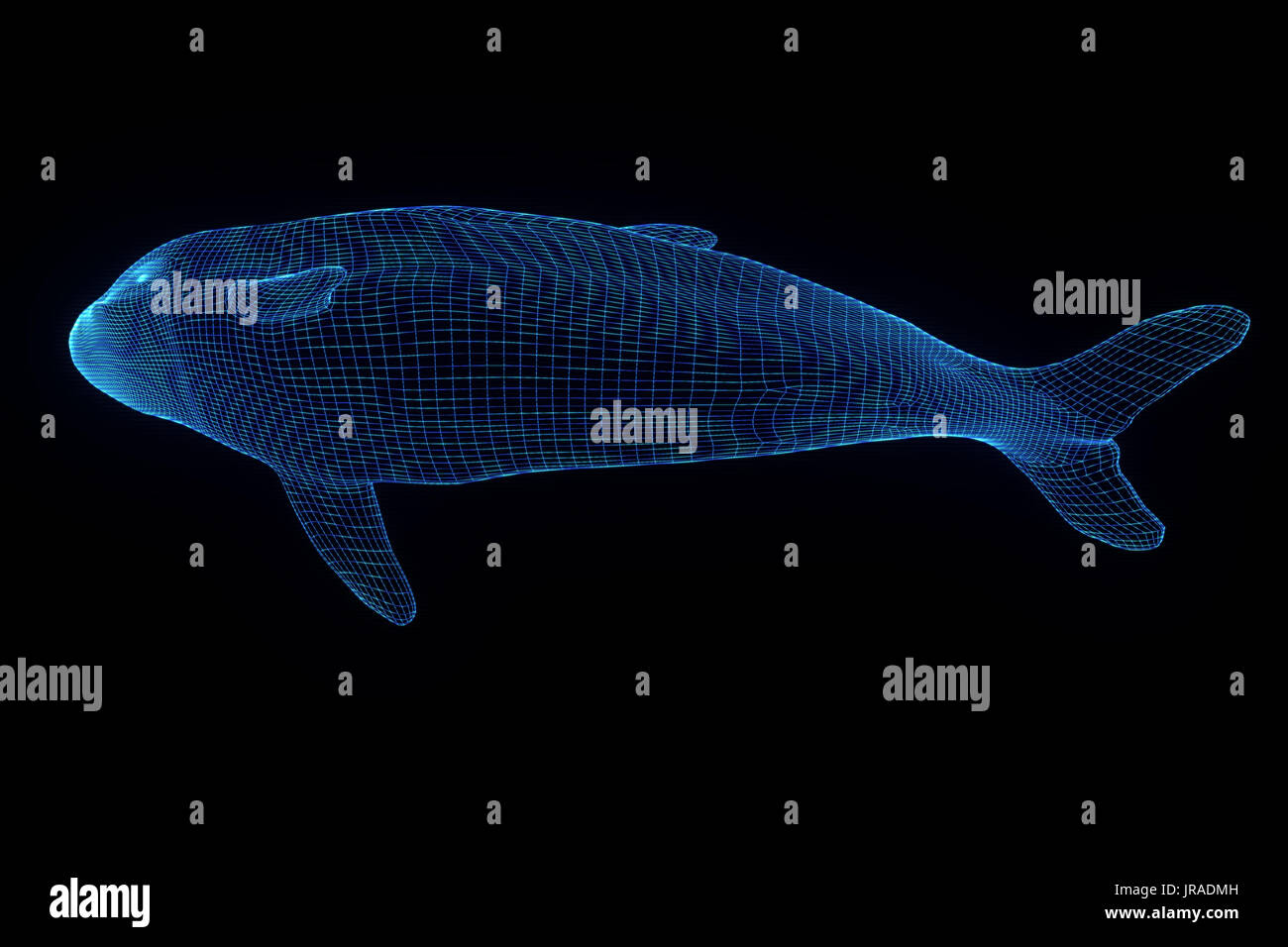 Orca Im Hologramm Drahtmodell Stil Schone 3d Rendering Stockfotografie Alamy