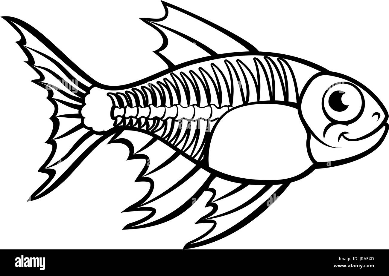 XRay Tetra Fisch Cartoon Charakter Stock Vektor