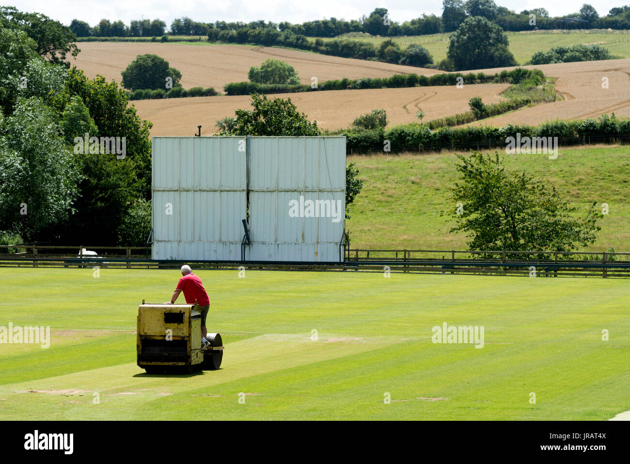 Ein Mann rollt das Dorf Cricket pitch, Rushton, Northamptonshire, England, UK Stockfoto