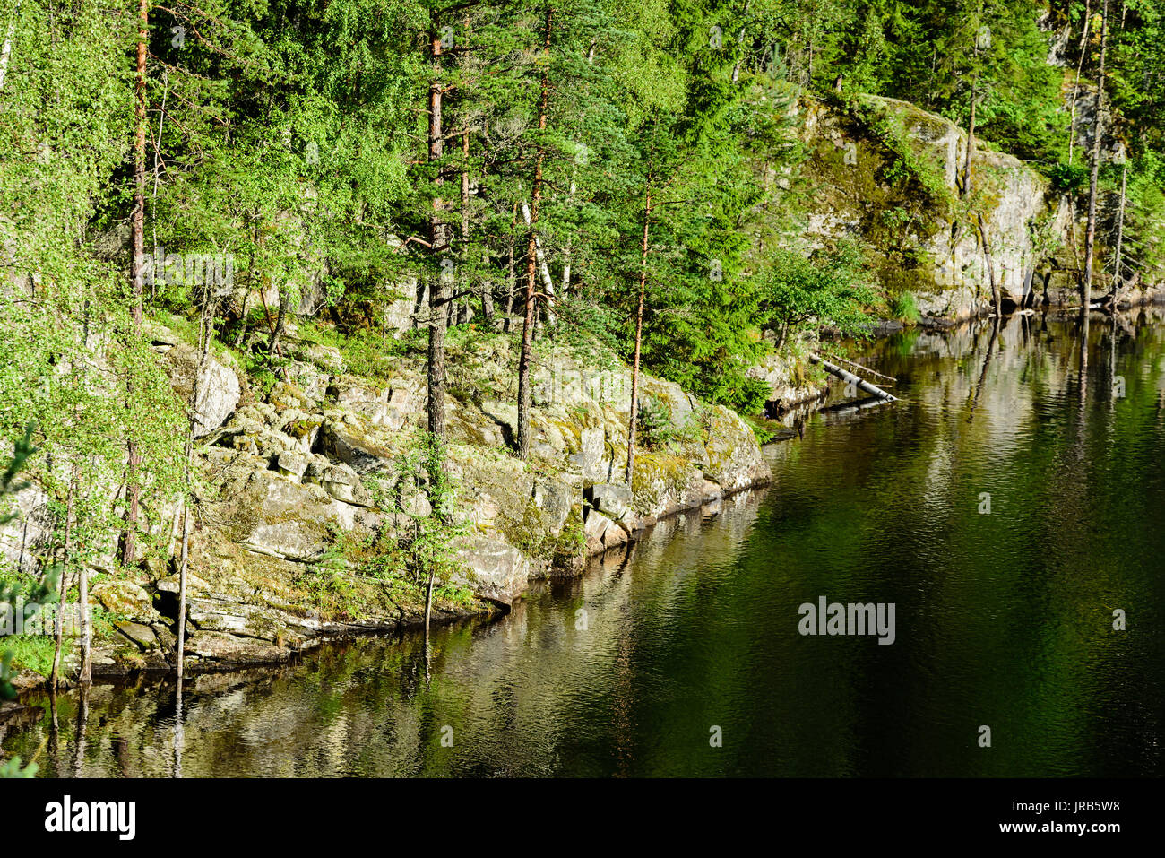 Detail der Wald auf einem bergigen Riverside mit Granit Felsen und Bäume kämpfen für einen Platz zum Wachsen. Stockfoto