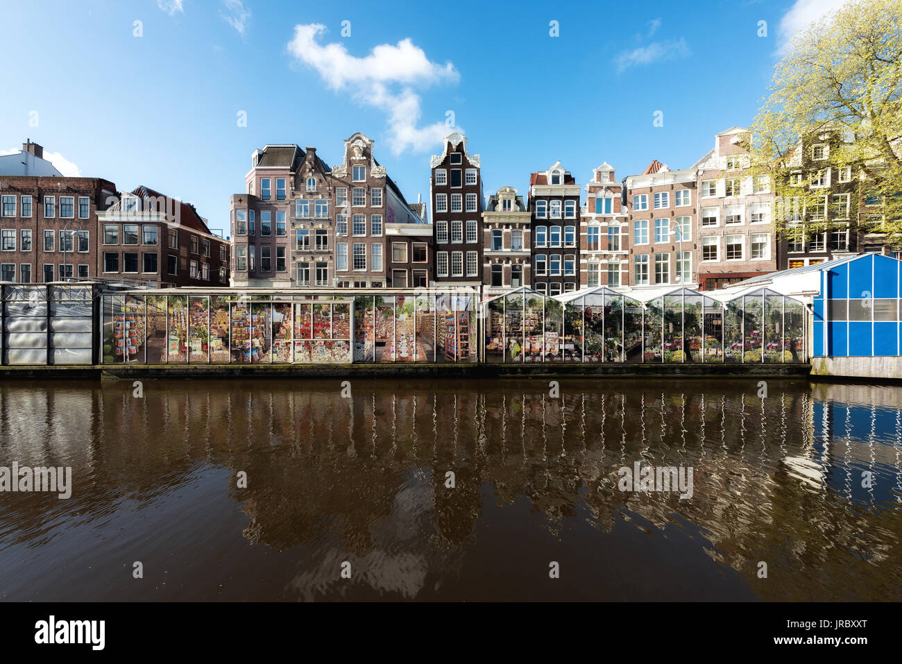 Amsterdam street traditionellen alten niederländischen farbenfrohe Gebäude und Blumenmarkt auf einem einzigen Kanal in Amsterdam, Niederlande. Stockfoto