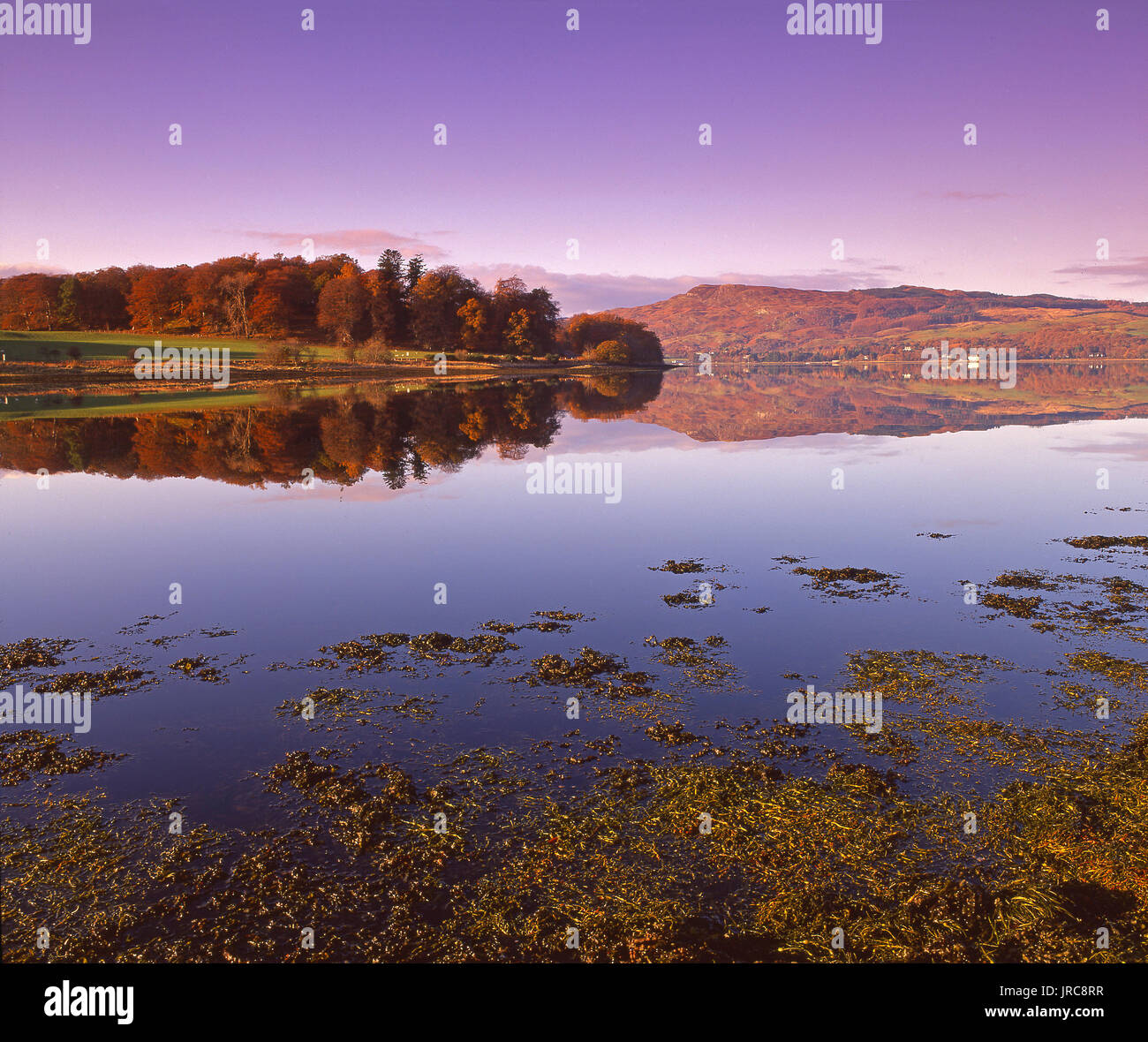 Ruhigen herbst Reflexionen am Loch Etive, Argyll Stockfoto