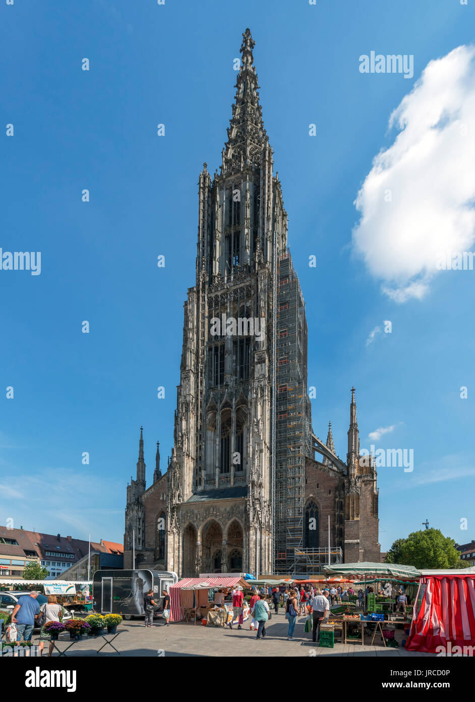 Markt vor dem Münster, Münsterplatz, Ulm, Baden-Württemberg, Deutschland Stockfoto