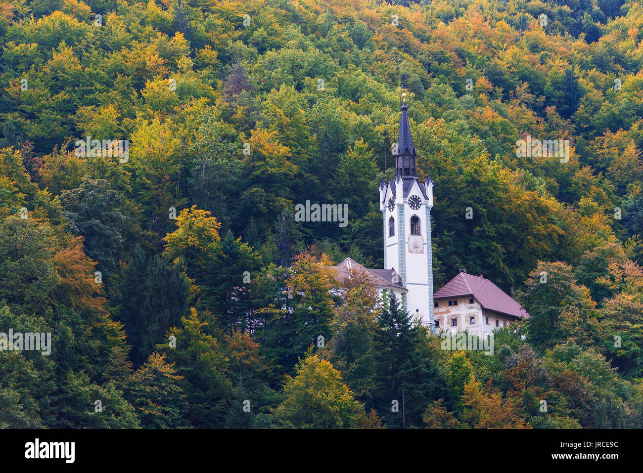 Eine römisch-katholische Kirche in einem Wald auf einem Hügel umgeben von Bäumen mit Herbst Laub im Herbst in der Nähe von Bled in Slowenien umgeben. Stockfoto