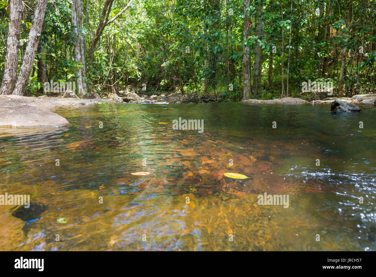 Wasserfall und Bach im Wald in Itacare Bahia Brasilien Stockfoto