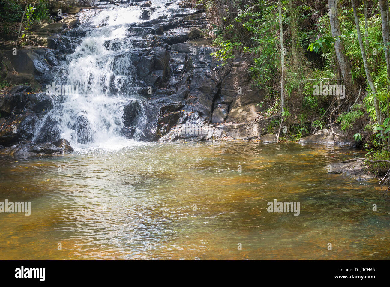 Wasserfall und Bach im Wald in Itacare Bahia Brasilien Stockfoto