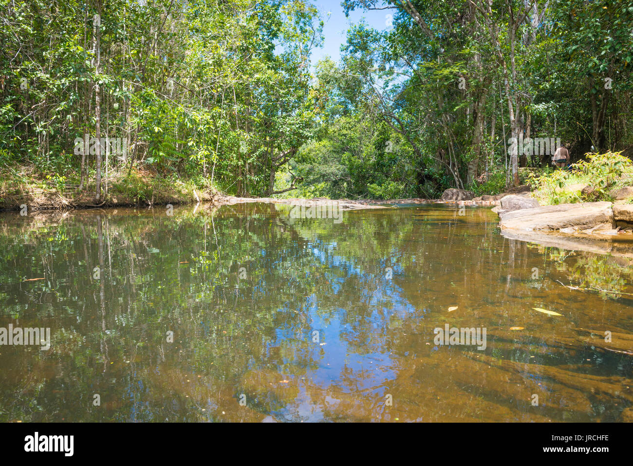 Wasserfall und Bach im Wald in Itacare Bahia Brasilien Stockfoto