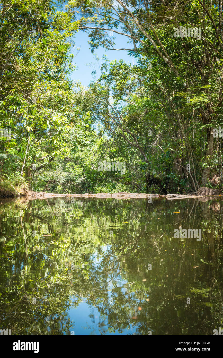 Natur mit Wasserfall und Stream in Itacare Bahia Brasilien Stockfoto