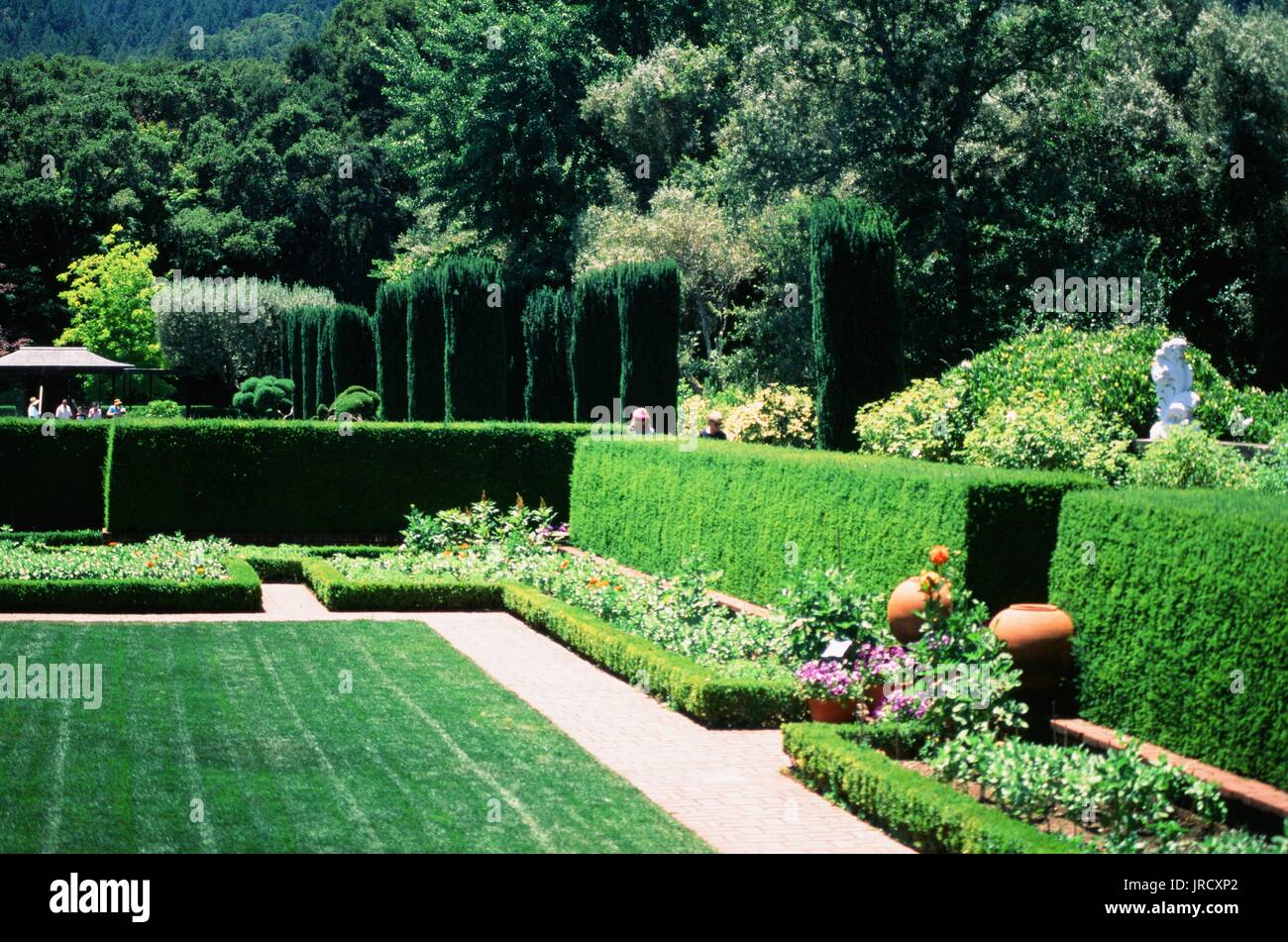 Hecken und andere formale Gartenelemente in Filoli Gardens, einem restaurierten Landgut im viktorianischen Stil und einem formellen Garten in Woodside, Kalifornien, 23. Juni 2017. Stockfoto