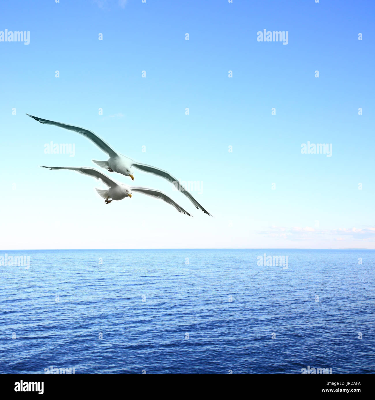 Schönen Meereslandschaft mit zwei fliegenden Möwen Stockfoto