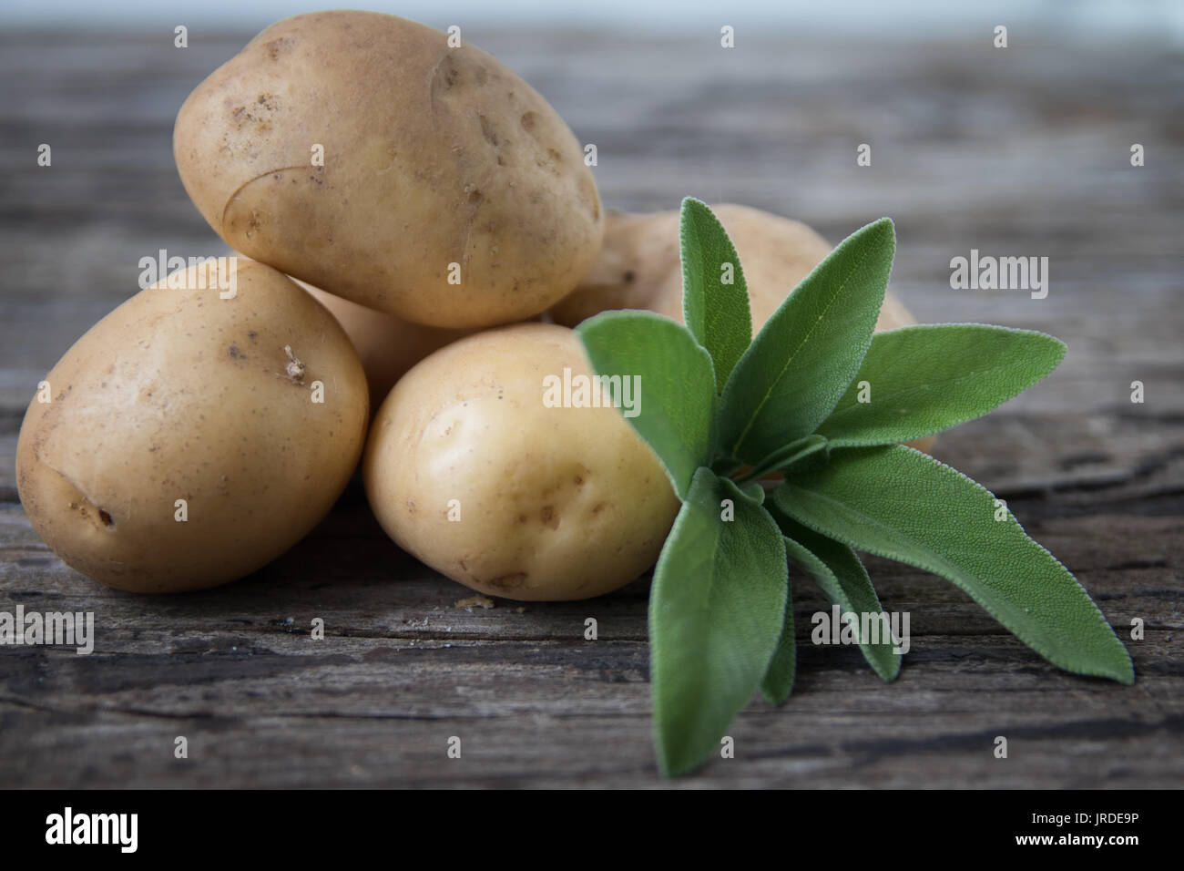 Quarantäne Kartoffeln Stockfoto