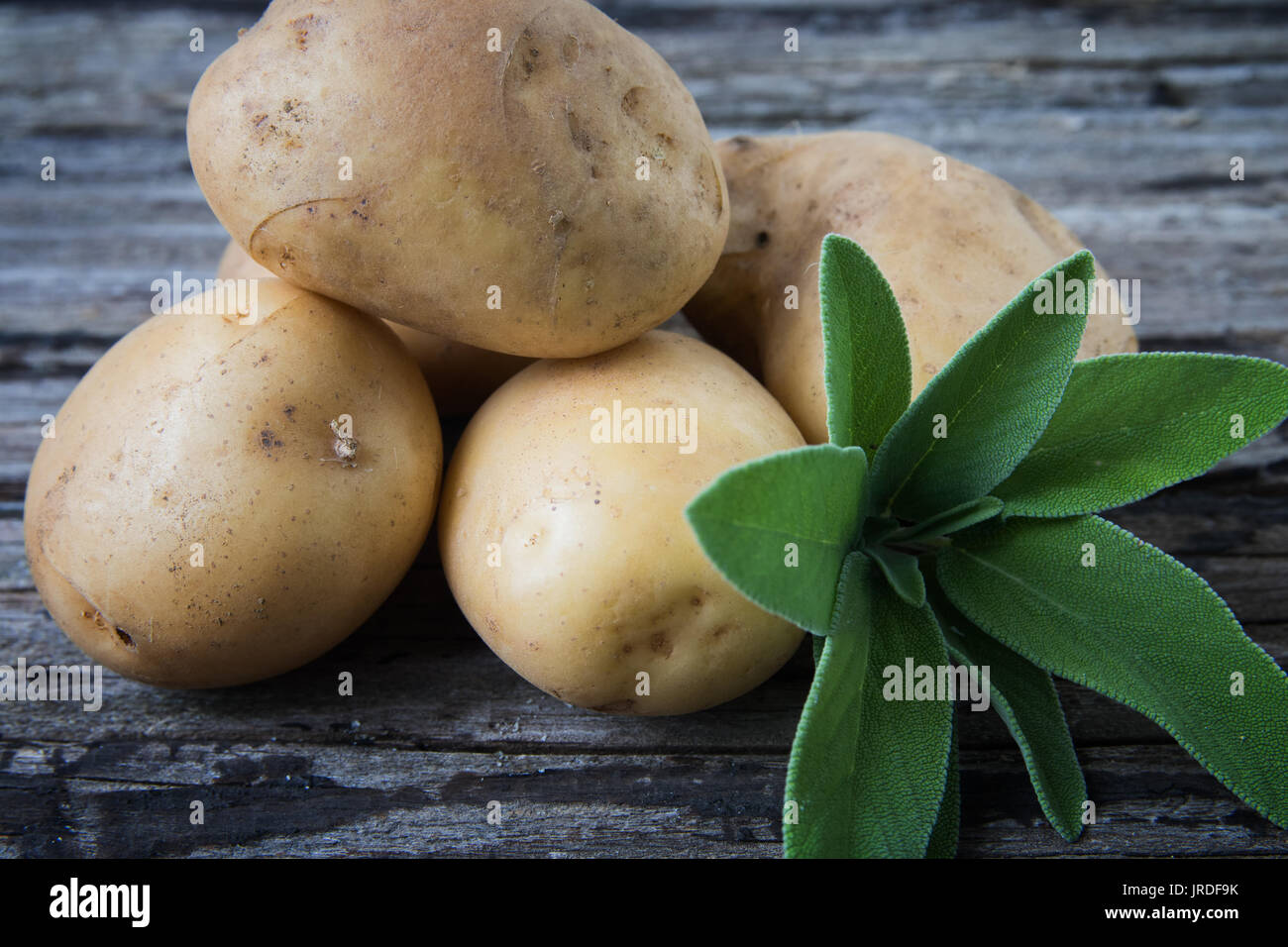 Quarantäne Kartoffeln Stockfoto