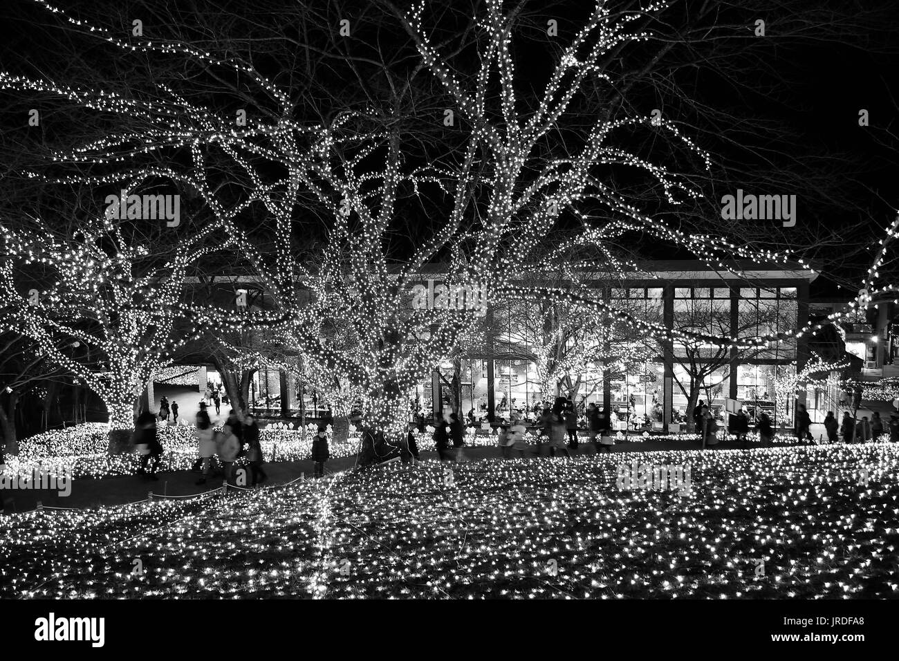 Städtische Landschaft der Winterbeleuchtung in Tokio, Japan Stockfoto