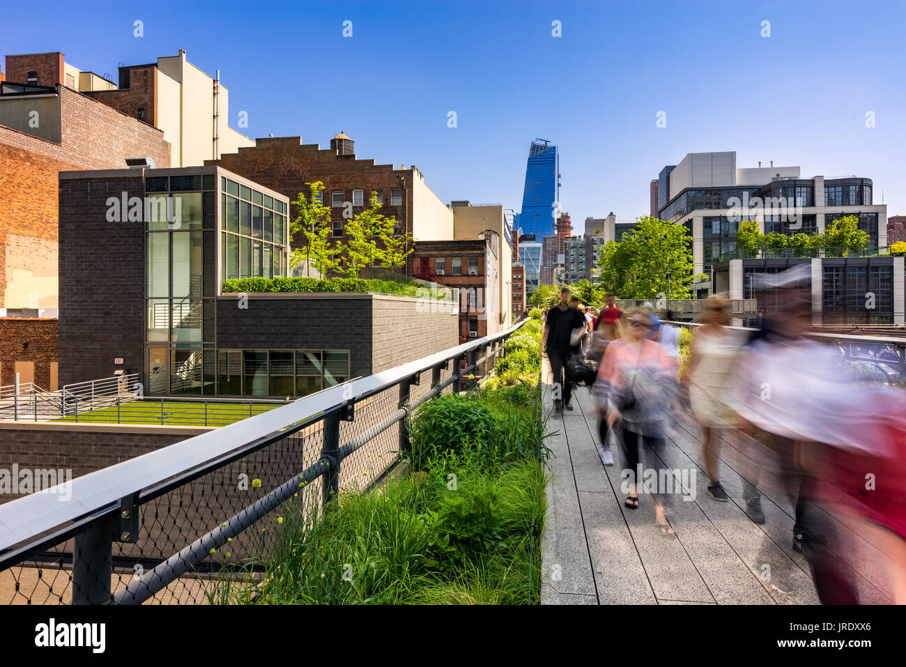 Morgen auf der die High Line, Chelsea, Manhattan, New York City Stockfoto