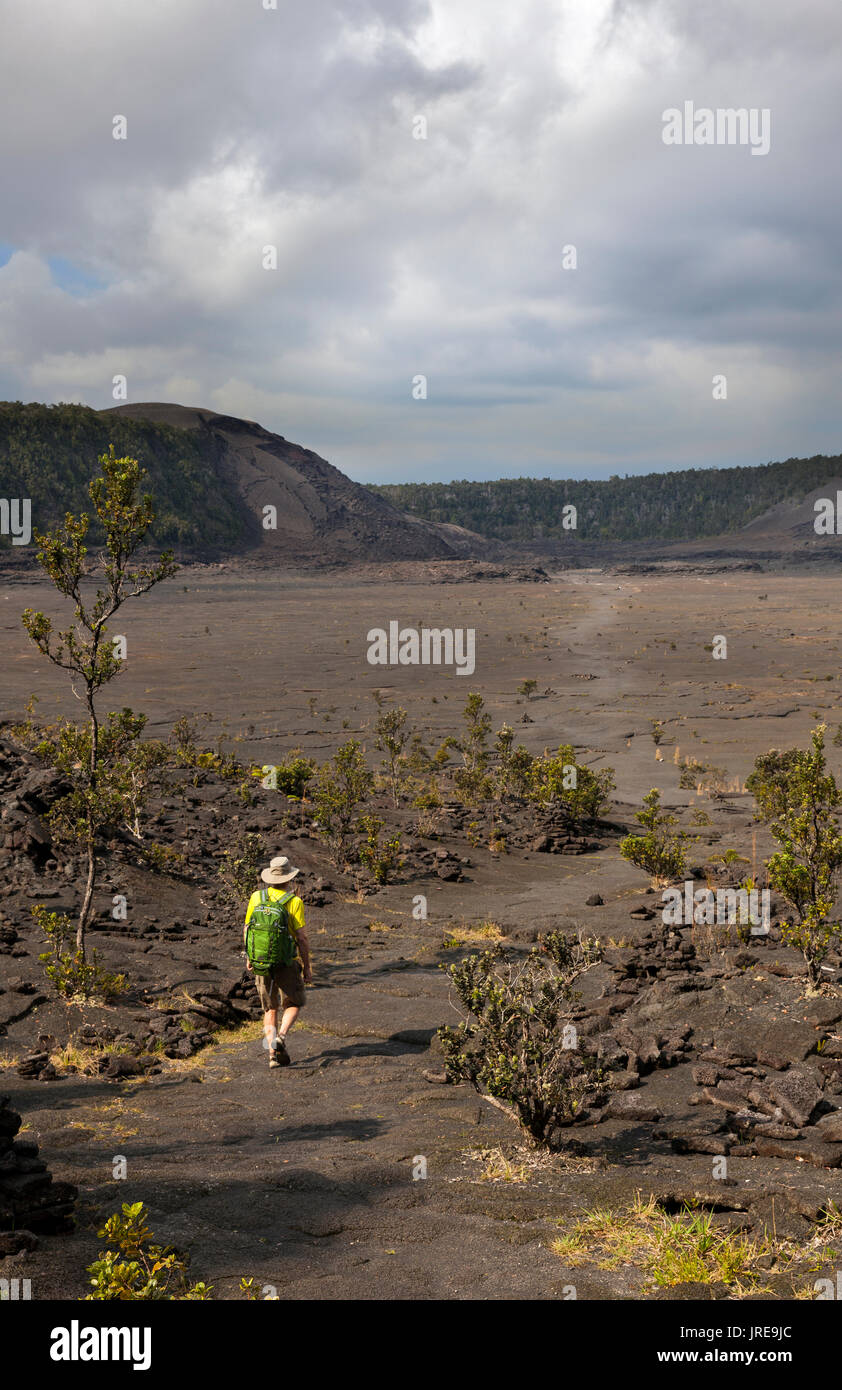 HI 00372-00 ... Hawai'I - Wanderer der Kilauea Iki Krater Kreuzung in Hawai'i Volcanoes National Park. (Herr #V2) Stockfoto