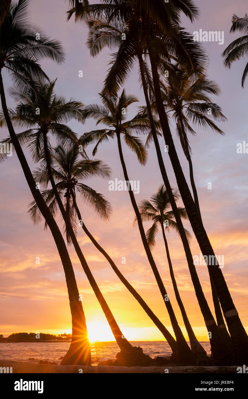 HI 00458-00 ... Hawai'I - Sonnenuntergang über dem Pazifischen Ozean von den Kekaha Kai State Park entlang der Kona Küste auf der Insel Hawai'i. Stockfoto