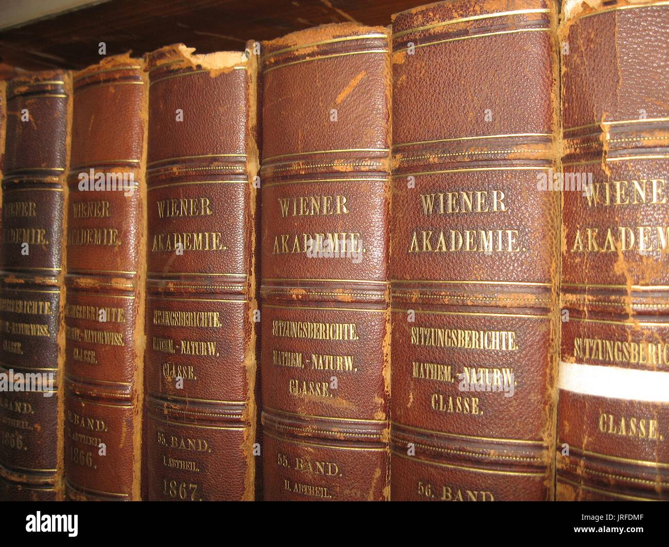 Mehrere verschlissen, Leder Bücher in einer Reihe auf einem Bücherregal in eine spezielle Sammlung Bibliothek verpflichtet, Schäden an der Leder Stacheln sichtbar, gold Schriftzüge auf jedes Buch in Deutsch, 1900. Stockfoto