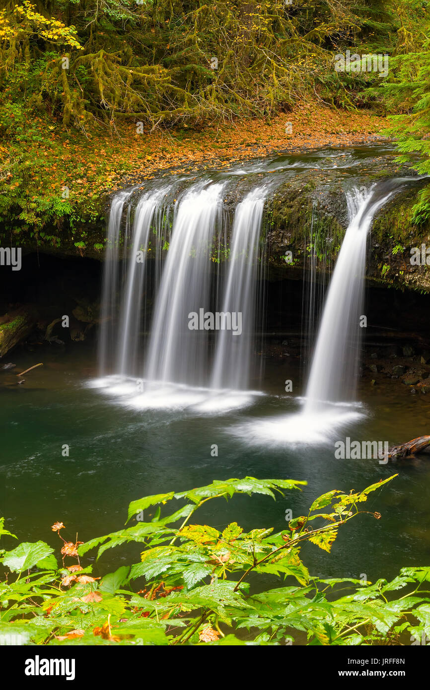 Obere Butte Creek Falls in Marion County Oregon im Herbst Saison Stockfoto