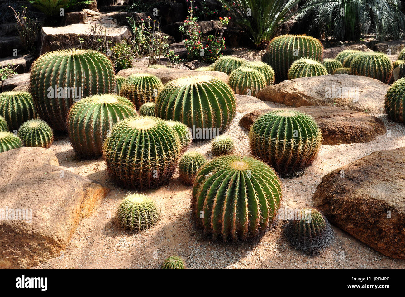 Nong Nooch Tropical Botanical Garden, Pattaya, Thailand Stockfoto