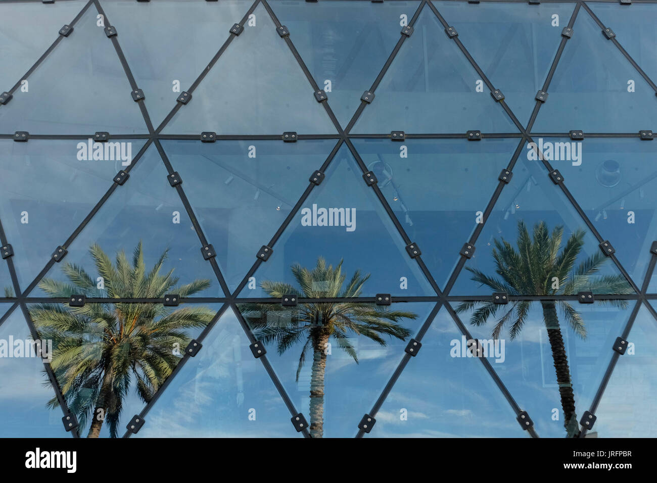 Dreieckige Fenster reflektiert drei Palmen in einem Museum in Florida, USA Stockfoto