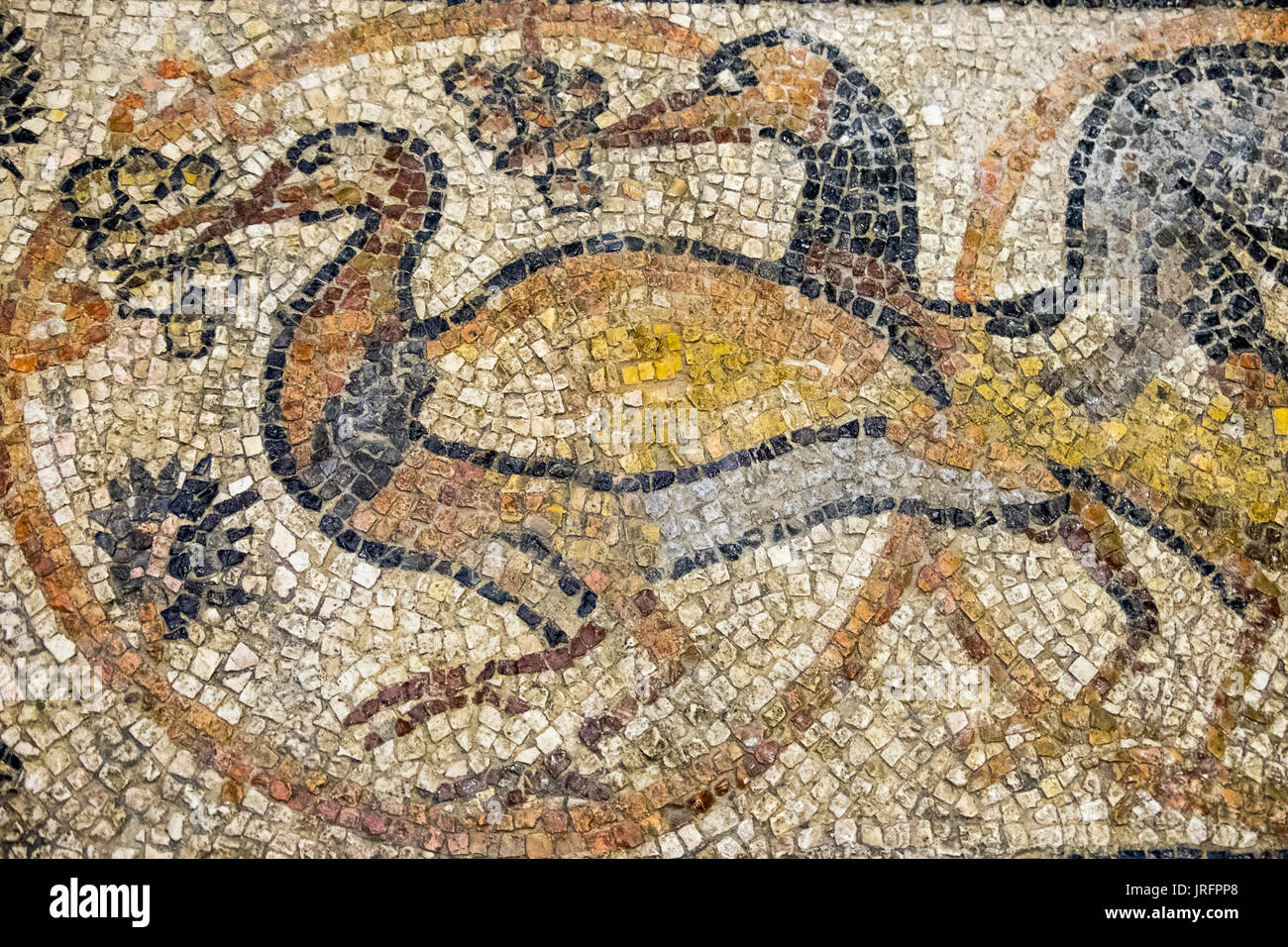 Bunten Mosaiken, die verschiedene Tiere in der Kirche des Heiligen Grabes im christlichen Viertel der Altstadt von Jerusalem. Stockfoto