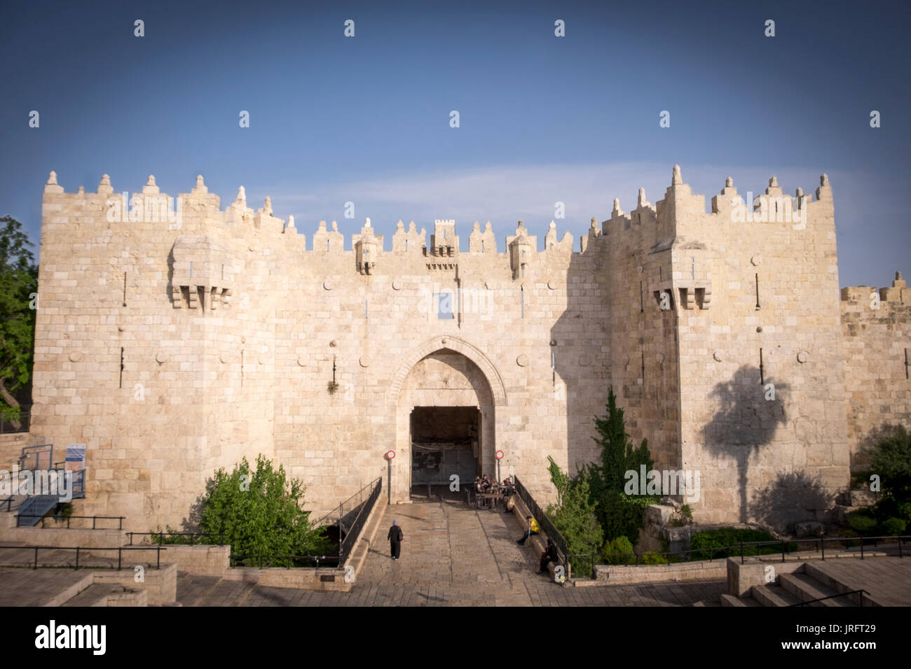 Am späten Nachmittag auf den Damascas Tor in Ostjerusalem mit einer Palme wieder an der Wand Stockfoto