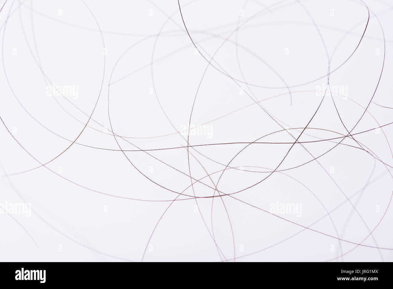 Haare auf weißem Hintergrund close-up Stockfoto