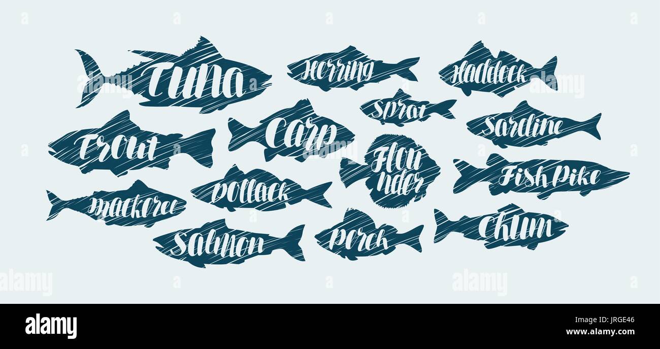 Fisch, Meeresfrüchte-Symbole einstellen Skizze-Vektor-illustration Stock Vektor