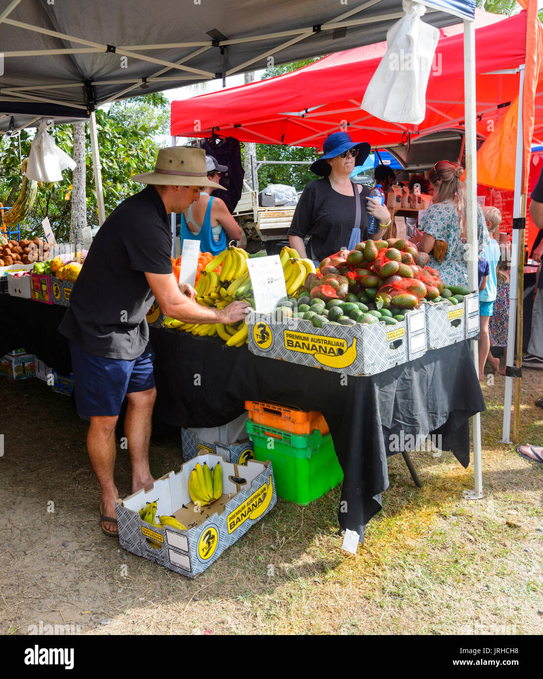 Frisches Obst Stand beim Sonntag Märkte, Port Douglas, Far North Queensland, FNQ, QLD, Australien Stockfoto