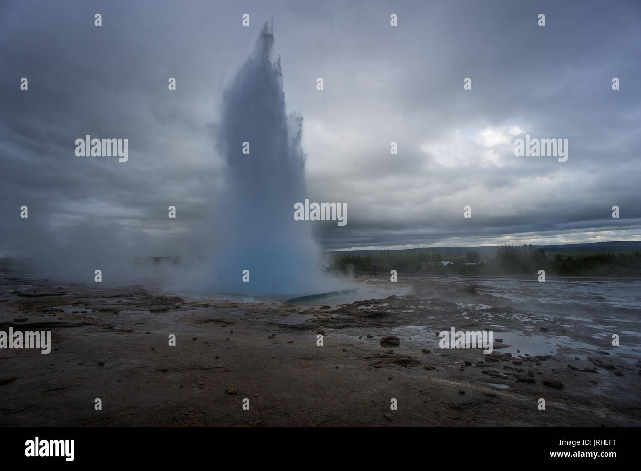Island - Türkis heißen kochendes Wasser, Ende der Eruption des Geysir Strokkur mit Bäumen Stockfoto