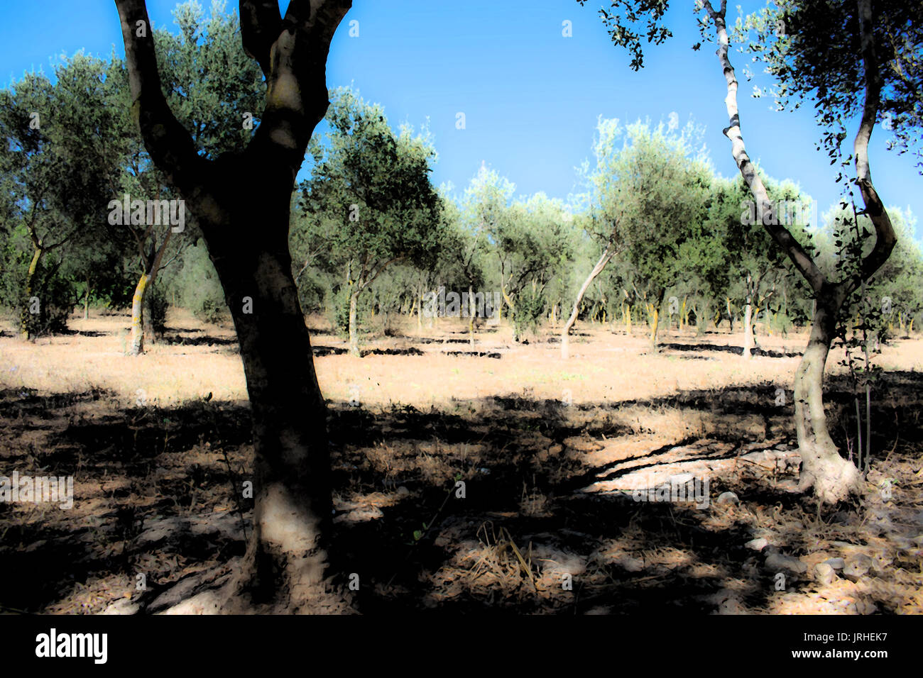 Traum in den Wäldern. Der perfekte Ort, um ungestört zu gehen, Nachdenken und Träumen. Stockfoto